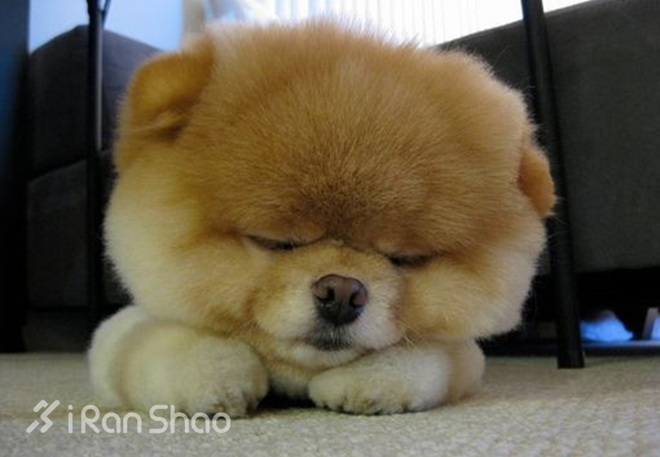 从0到5公里，程序猿变身极客跑者指南【14】跑步后的体重问题