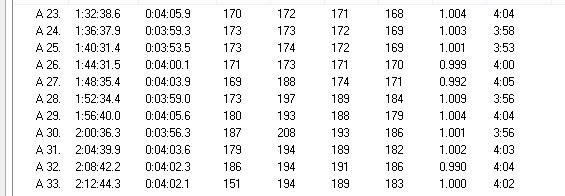 没感觉的2013上海马拉松