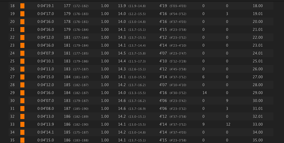 42195m(2013shanghai)