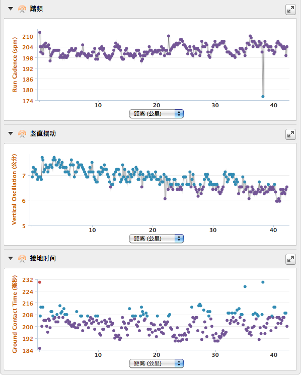 马年第一马－－大鹏迎新马拉松