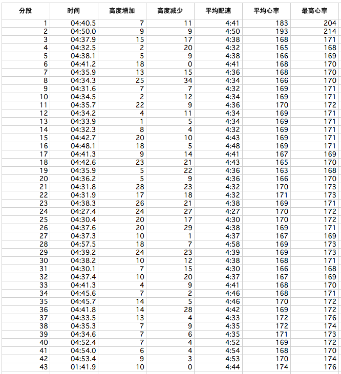 马年第一马－－大鹏迎新马拉松