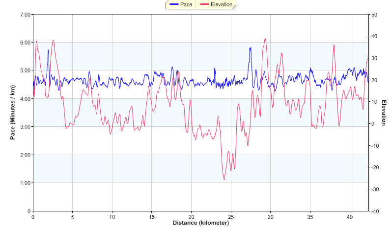 马年第一马－－大鹏迎新马拉松
