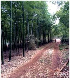 江南.泥巴.雨----3.29南京蟠龙湖25km山地越野记