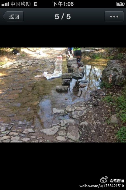 遇见一场玉兰花瓣雨----杭州亚瑟士山地马拉松半程记