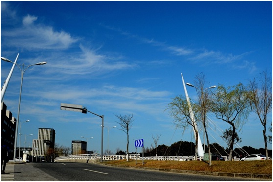 一场欢乐的公益大趴----南汇滴水湖健康跑