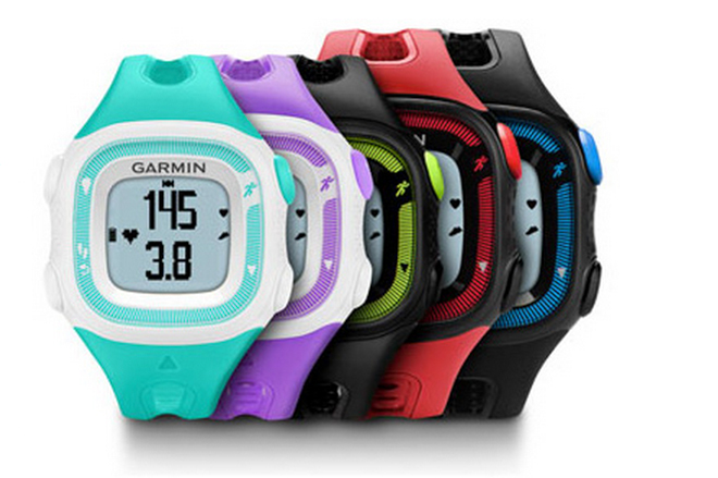 Garmin fr15