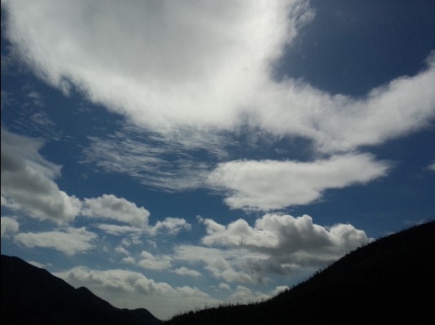 紫猫猫的莫干50晒黑之旅