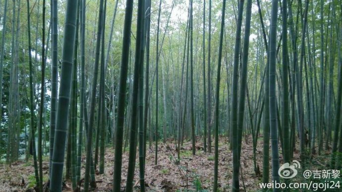 TheNorthFace Ultra Trail越野跑鞋 深度测评：TNF100赛道的魔鬼测试（百公里检验装备篇之一）