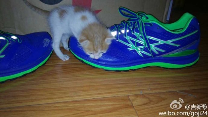 TheNorthFace Ultra Trail越野跑鞋 深度测评：TNF100赛道的魔鬼测试（百公里检验装备篇之一）