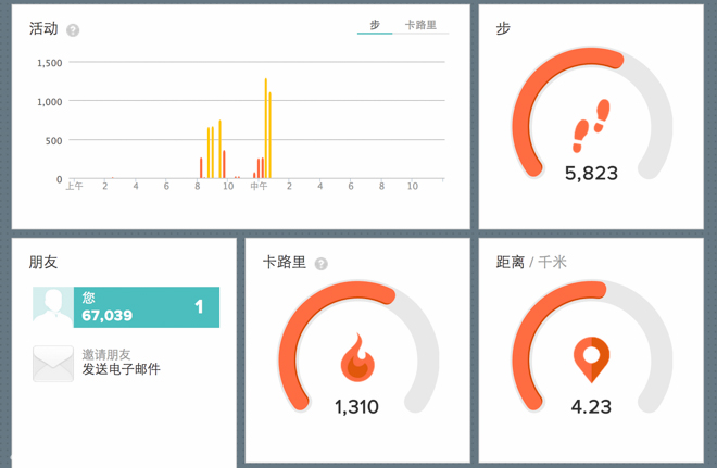 fitbit flex深度评测