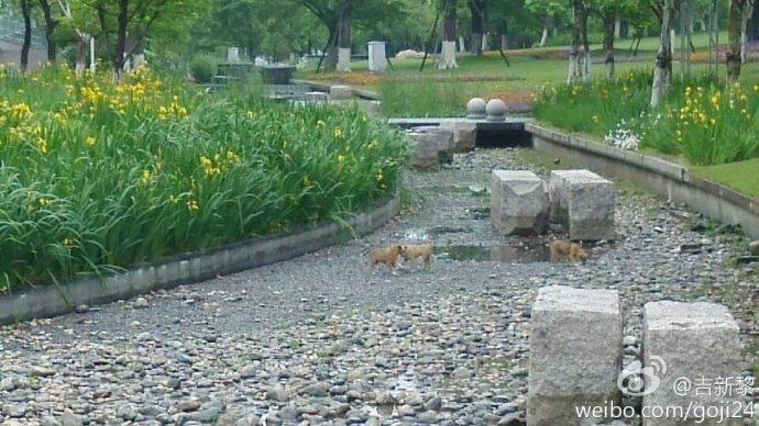 TheNorthFace Ultra Trail越野跑鞋 深度测评：TNF100赛道的魔鬼测试（百公里检验装备篇之一）