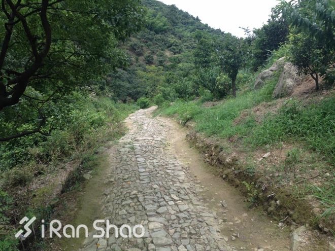 适度越野—九龙湖越野赛30公里线路报告