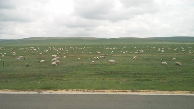 中毒已太深 情系铁木真——一个半新人的铁木真“草原王”征战之旅