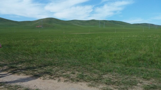 中毒已太深 情系铁木真——一个半新人的铁木真“草原王”征战之旅