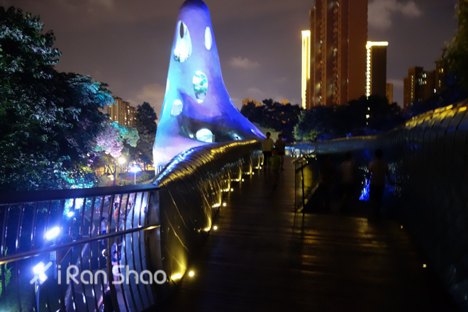 跑在上海之夜荡苏州河