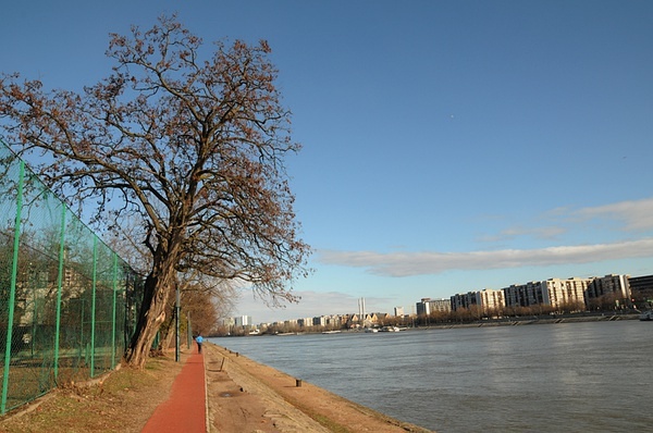 布达佩斯马拉松，在多瑙河畔奔跑