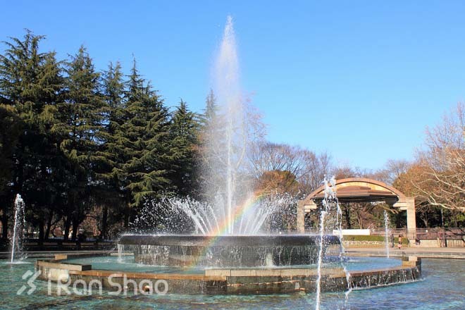 东京马拉松 — 最近的大满贯