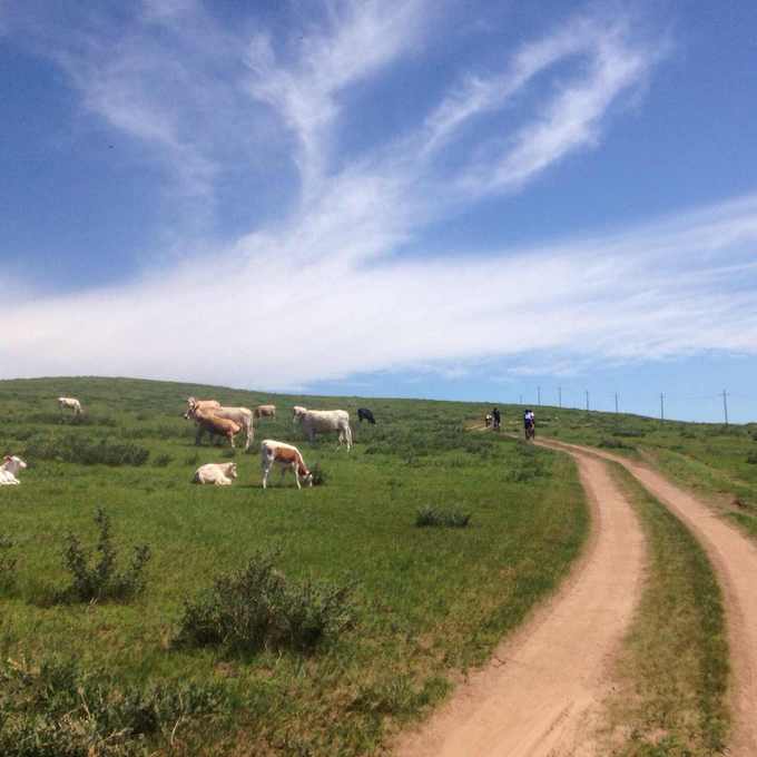 中毒已太深 情系铁木真——一个半新人的铁木真“草原王”征战之旅