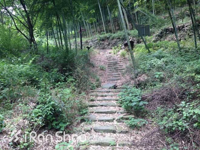 适度越野—九龙湖越野赛30公里线路报告