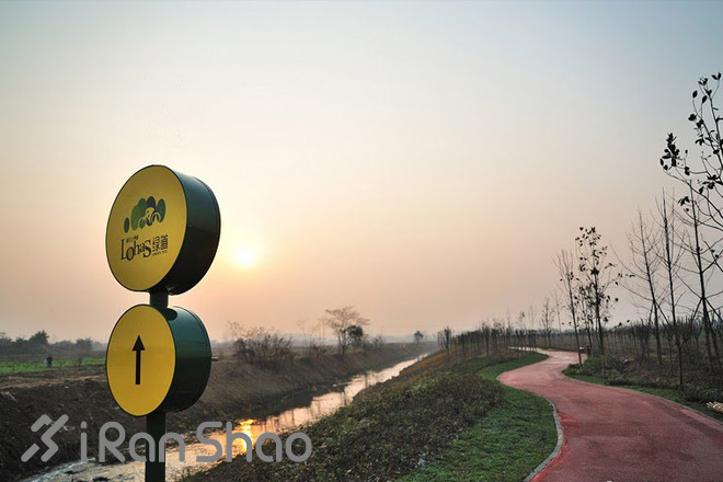 跑在成都—天府之国的悠闲时光