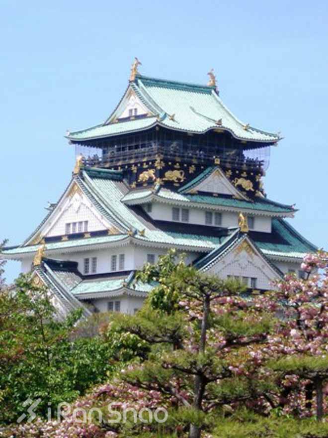 跑在古都—大阪马拉松及大阪市民马拉松