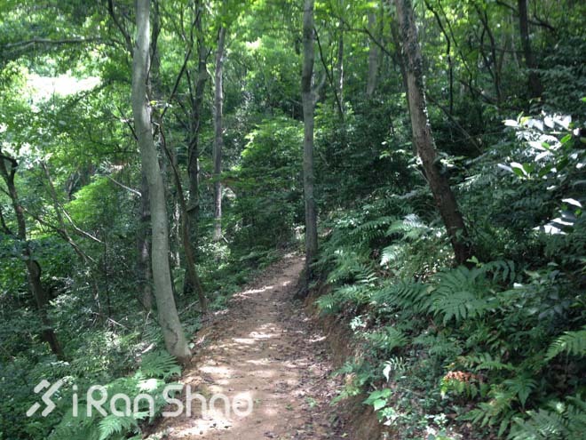 适度越野—九龙湖越野赛30公里线路报告