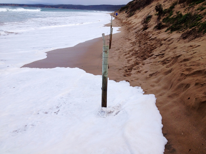 纵情海岸线——​墨尔本Surfcoast冲浪海岸越野赛