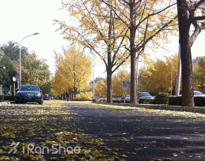 使馆区 — 北京跑步好去处