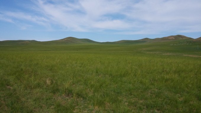 中毒已太深 情系铁木真——一个半新人的铁木真“草原王”征战之旅
