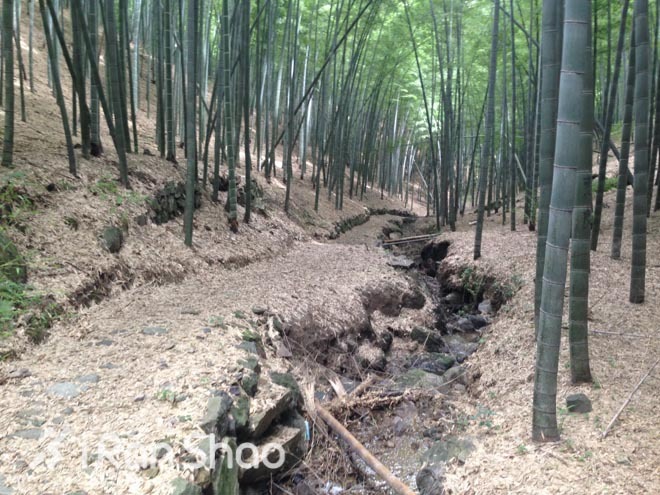 适度越野—九龙湖越野赛30公里线路报告