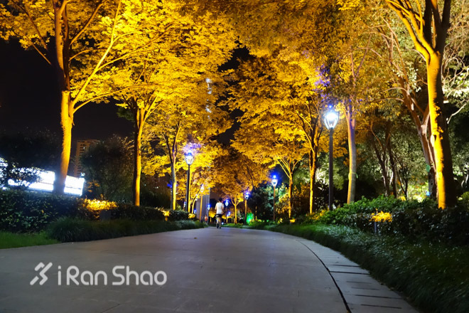 跑在上海之夜荡苏州河