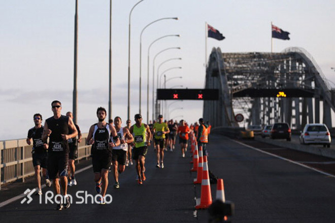 凭海临风—2014年奥克兰马拉松展望