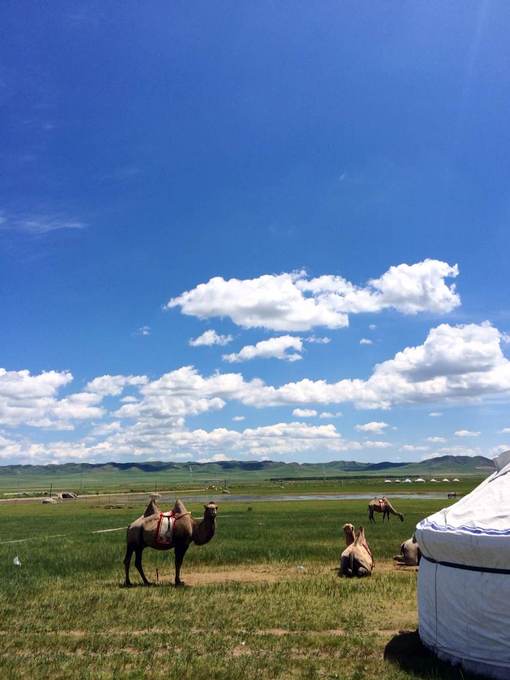 中毒已太深 情系铁木真——一个半新人的铁木真“草原王”征战之旅