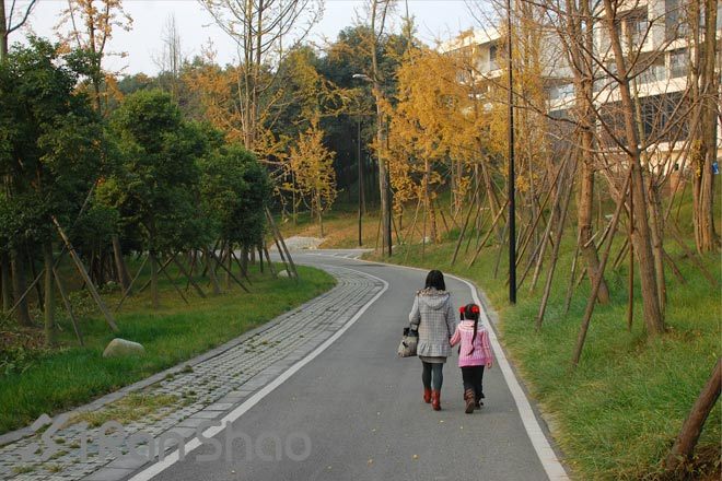 跑在成都—天府之国的悠闲时光