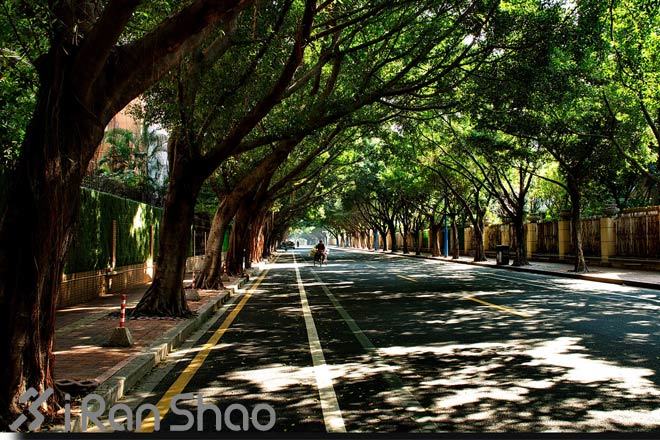 跑在广州—跑一岛  恋一城