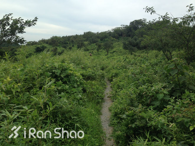 适度越野—九龙湖越野赛30公里线路报告