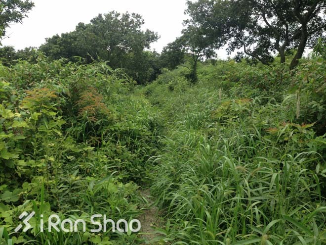 适度越野—九龙湖越野赛30公里线路报告