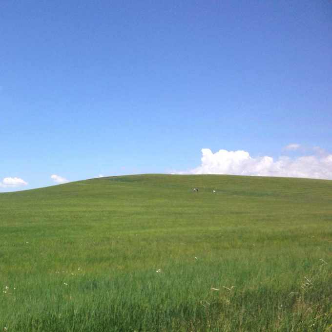 中毒已太深 情系铁木真——一个半新人的铁木真“草原王”征战之旅