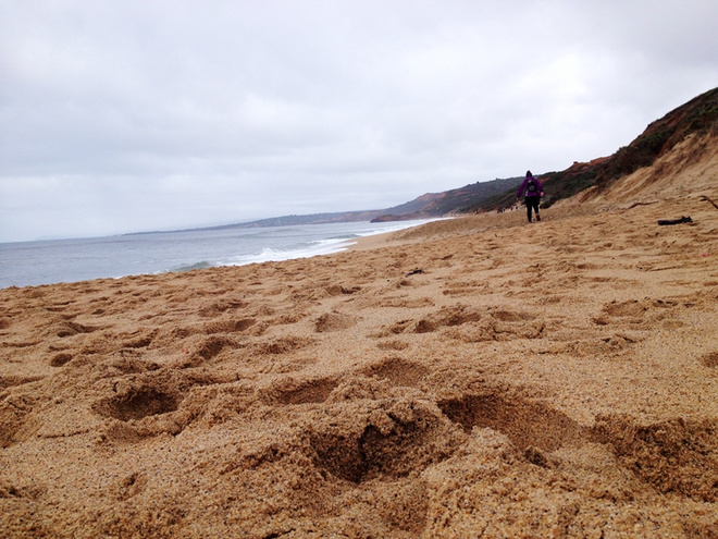 纵情海岸线——​墨尔本Surfcoast冲浪海岸越野赛