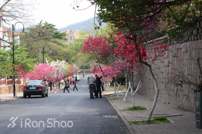 跑在青岛—极致唯美的海边景观