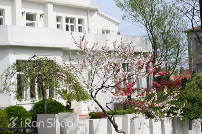 跑在青岛—极致唯美的海边景观