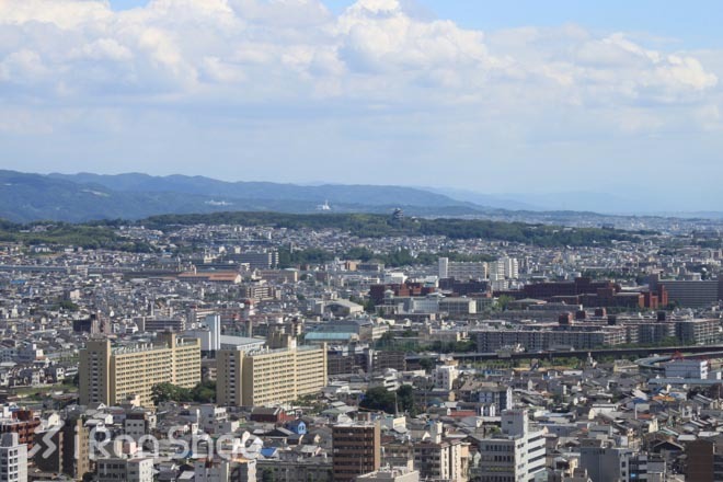 赛事前瞻—2015京都马拉松