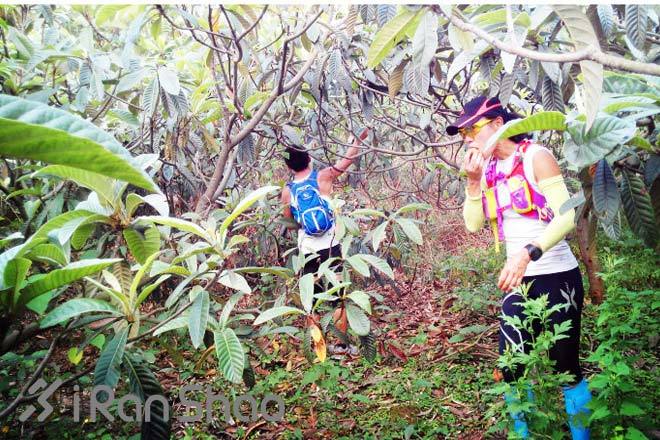 跑在成都—天府之国的悠闲时光