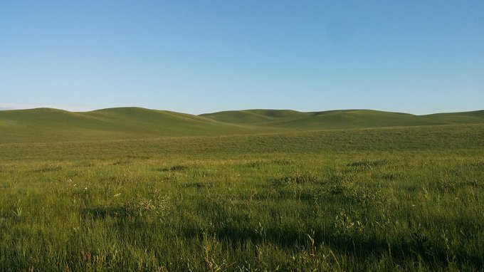 中毒已太深 情系铁木真——一个半新人的铁木真“草原王”征战之旅