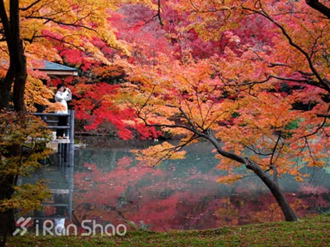 赛事前瞻—2015京都马拉松