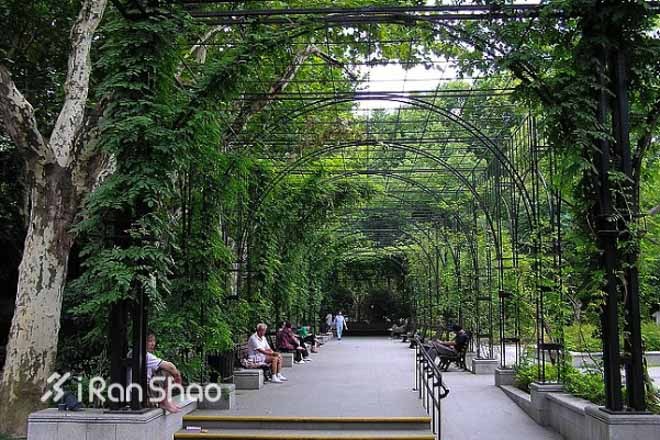 书影音 | 跑在上海之文艺地图