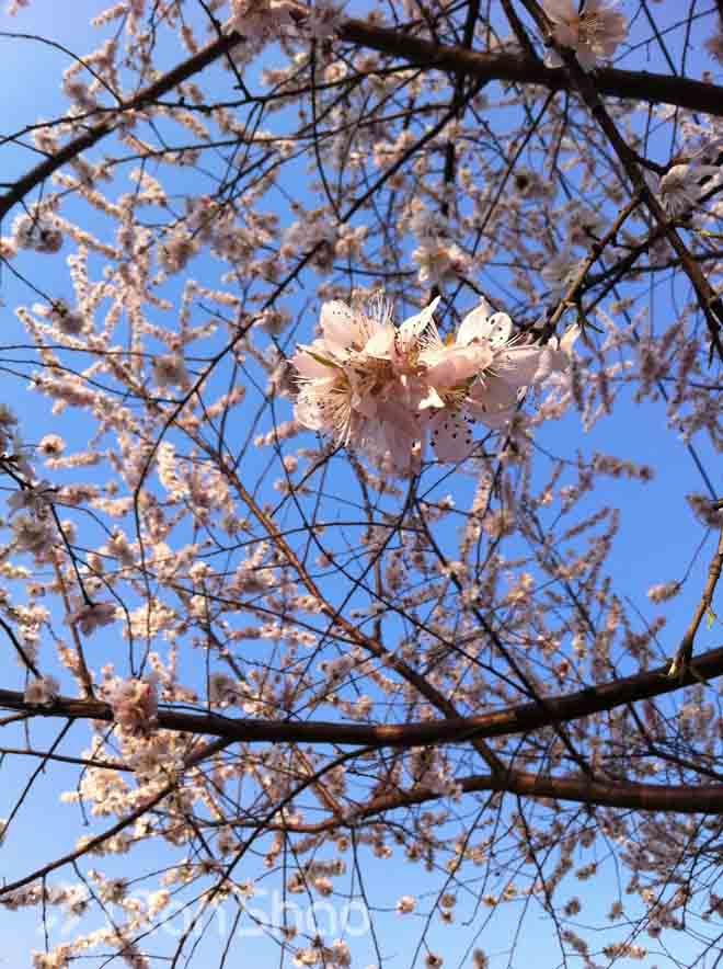 使馆区 — 北京跑步好去处