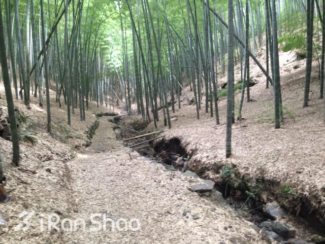 适度越野—九龙湖越野赛30公里线路报告