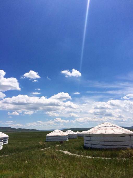 中毒已太深 情系铁木真——一个半新人的铁木真“草原王”征战之旅