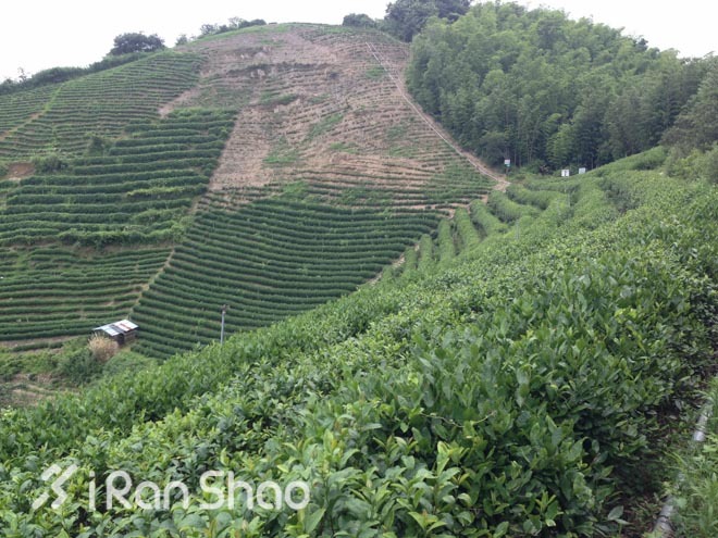 适度越野—九龙湖越野赛30公里线路报告